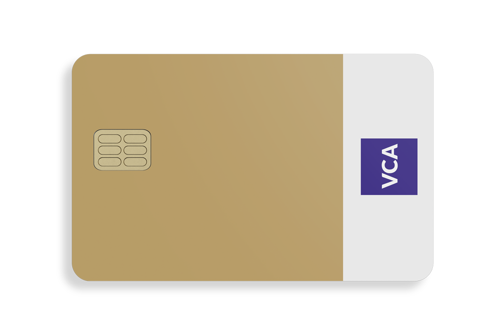 card 01